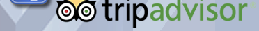 Seguici su Tripadvisor